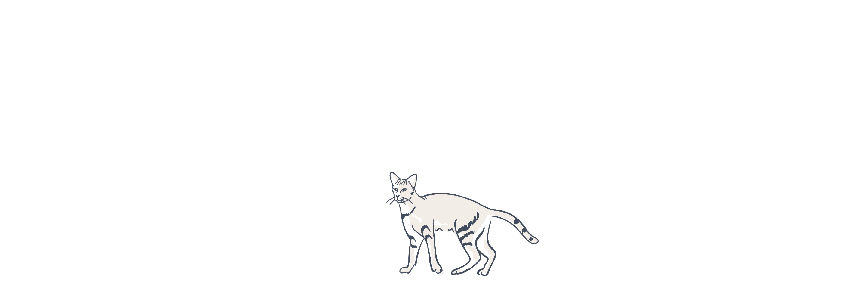 Cat illustration loop