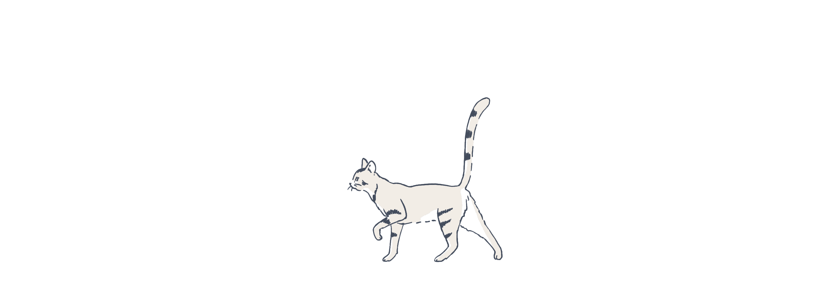 Cat illustration animated