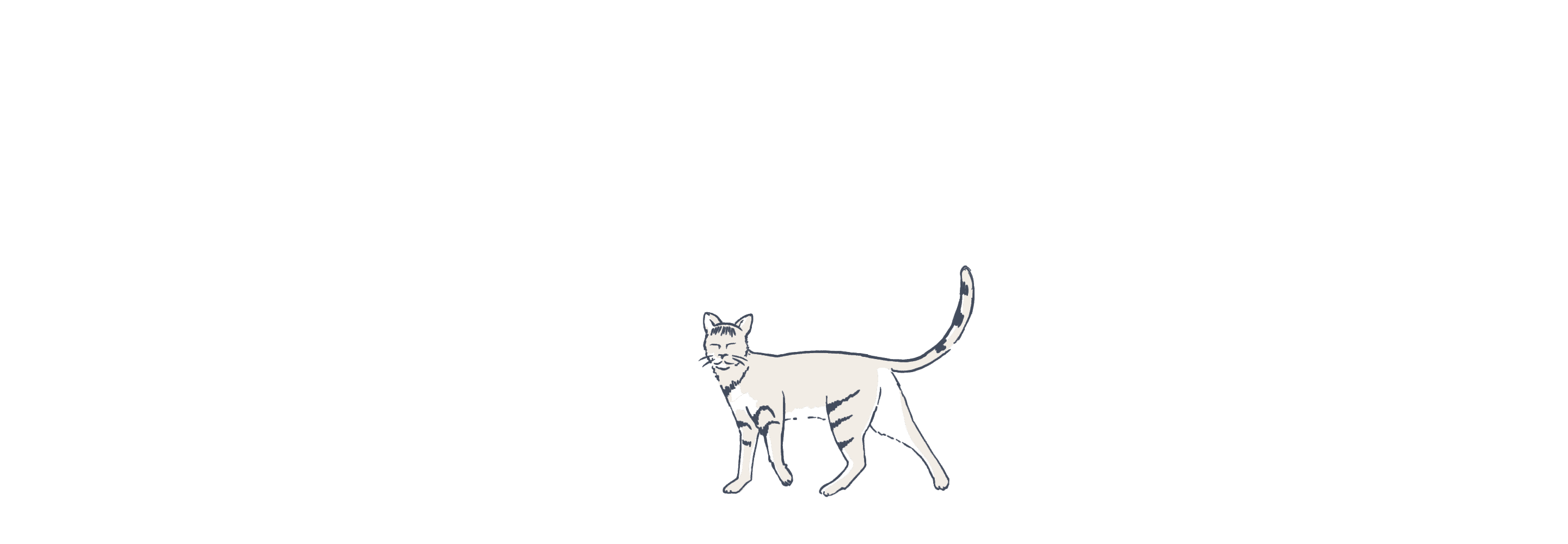 Cat illustration animated